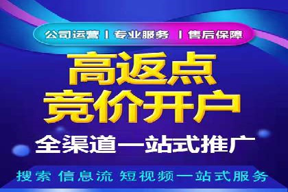 百度推广在电商行业的应用案例